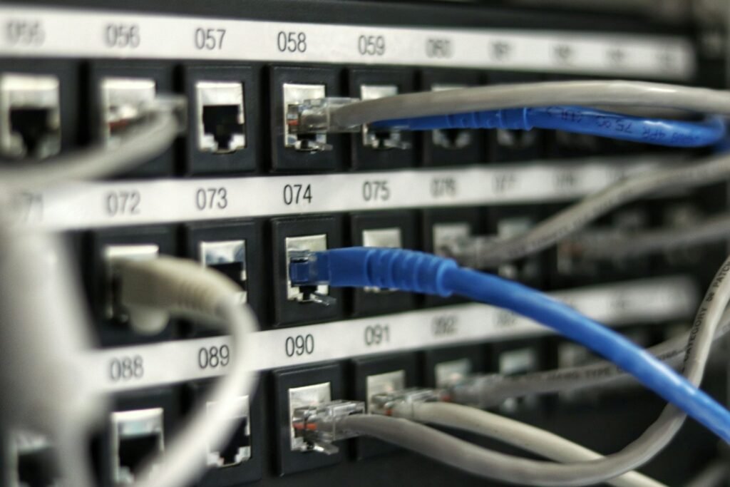 Panel de conexión de red con cables categoría 6 numerados